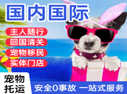 阿荣航空快递国际宠物托运 【国